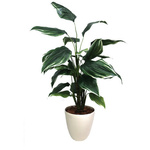 人工観葉植物ホスタＬサイズ　【お取り寄せ品】８営業日以内届