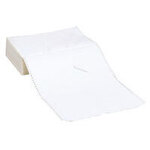 ＮＬＰタックシート（４）　１５×１０インチ　０４１２１７０　８１８２６８０３　■お取り寄せ品