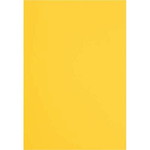 色画用紙八つ切　みかん　１セット（１０枚×１０入）
