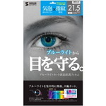 ２１．５型ワイド対応ブルーライトカット液晶保護フィルム　■お取り寄せ品