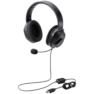 オーバーヘッドタイプヘッドセット／両耳／ＵＳＢ／４０ｍｍドライバ／ブラック　ＨＳ－ＨＰ３０ＵＢＫ　■２営業日内届