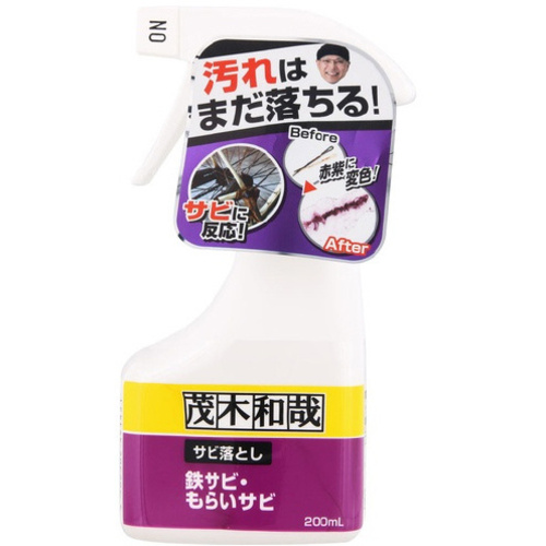 茂木和哉　サビ落とし