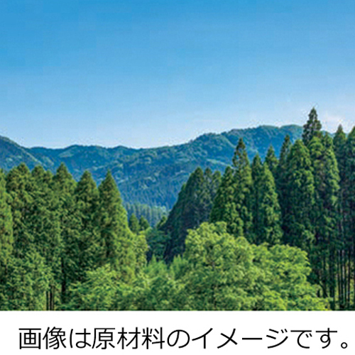 ＺＥＲＯ　ＣＯ２　ＰＡＰＥＲ　上質