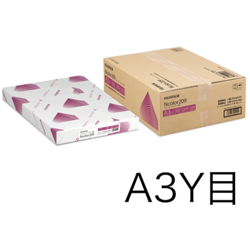 Ｎｃｏｌｏｒ２０９　Ａ３Ｙ目　１箱（２５０枚&times;２冊）　ＺＧＡＡ０２４７