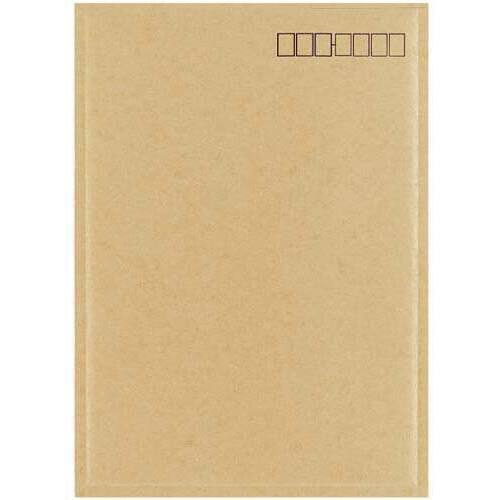 小包封筒　Ａ４用　茶&times;１０　【お取り寄せ品】６営業日以内届