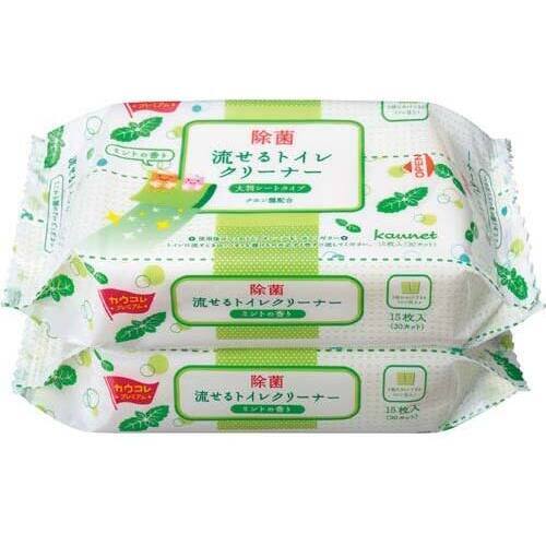 【超ＳＡＬＥ対象品】流せるトイレクリーナー大判　ミント　２個入