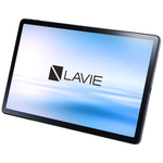 ＬＡＶＩＥ　Ｔ１１　－　Ｔ１１９５／ＦＡＳ　ストームグレー　ＰＣ－Ｔ１１９５ＦＡＳ　■２営業日内届