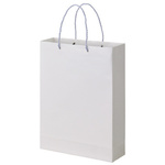 ポリエチレンラミネート紙袋　白　中　１０枚