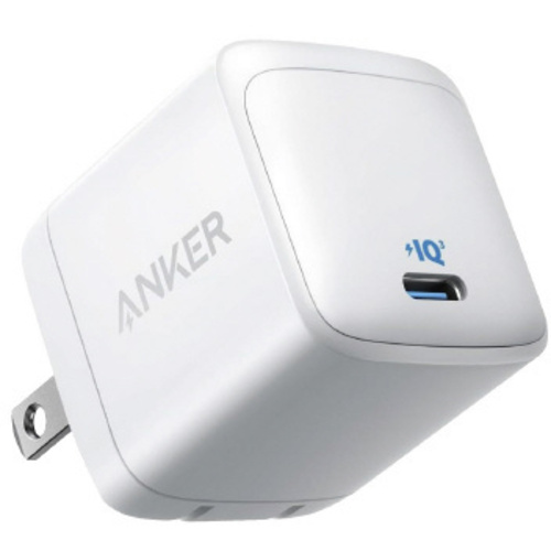 ３１３　Ｃｈａｒｇｅｒ　（Ａｃｅ，　４５Ｗ）