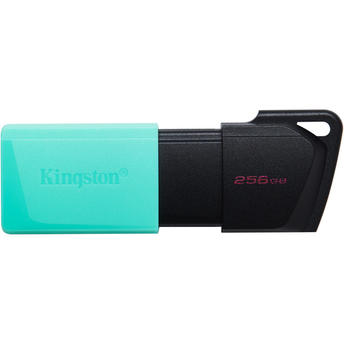 ２５６ＧＢ　ＵＳＢ３．２　Ｇｅｎ１　ＤａｔａＴｒａｖｅｌｅｒ　Ｅｘｏｄｉａ　Ｍ　■お取り寄せ品