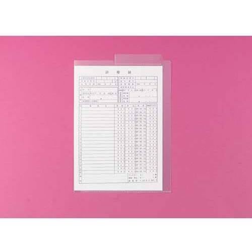 リヒトラブ LIHIT LAB. HK732U-18 カラーカルテフォルダー　ファスナー付 Ａ４ ２穴 １８クリスタルピンク リヒトラブ カルテフォルダー 50枚 A4 クリスタルピンク HK732U-18