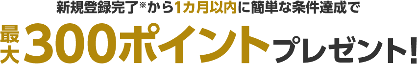 新規登録完了※から1カ月以内に簡単な条件達成で最大300ポイントプレゼント！