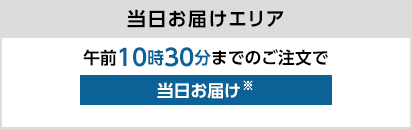 当日お届けエリア 午前10時30分までのご注文で当日お届け※