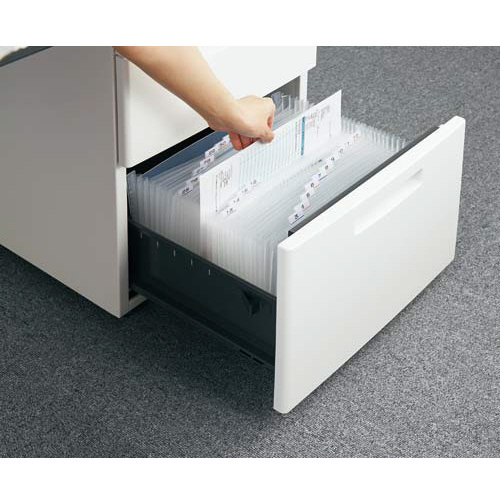 テージー ドキュメントファイルのびーる2 32ポケット FD－244